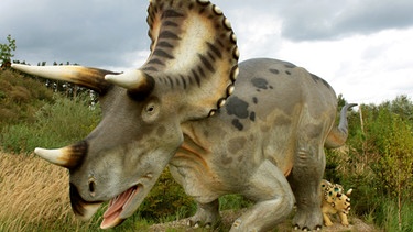 Triceratops mit einem Jungtier | Bild: picture-alliance/dpa