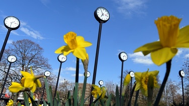 Uhren auf Blumenwiese | Bild: picture-alliance/dpa
