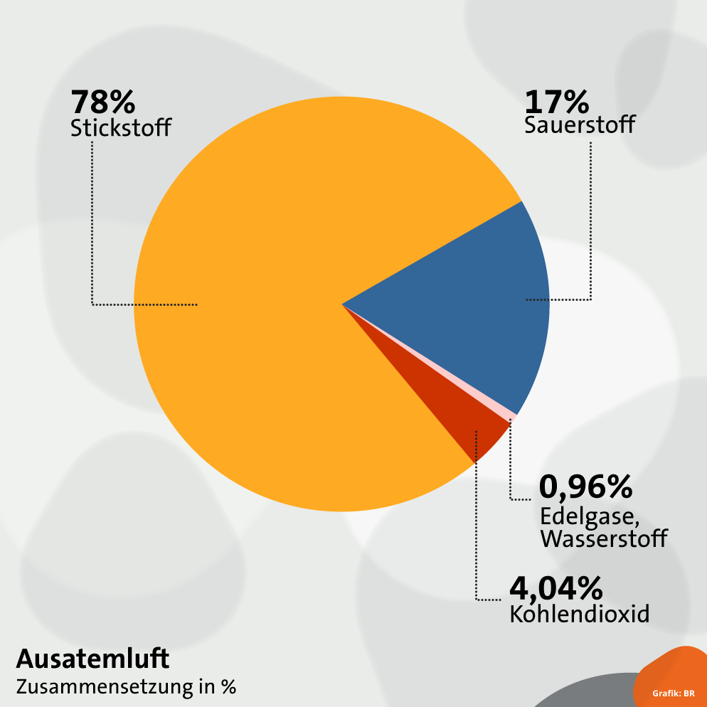 Grafik Zusammensetzung Ausatemluft | Bild: BR