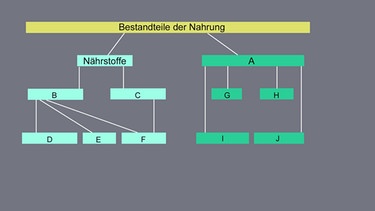 Übersicht zum Ausfüllen: Bestandteile der Nahrung | Bild: BR