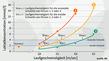 Grafik: Digramm mit drei Laktatkurven | Bild: BR