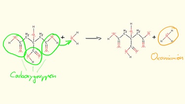 Carboxygruppen und Oxoniumion | Bild: Christopher Müller