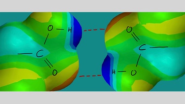 Zwischen zwei Carboxygruppen bilden sich Wasserstoffbrücken. | Bild: Christopher Müller