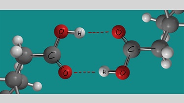 Zwischen zwei Carboxygruppen bilden sich Wasserstoffbrücken. | Bild: Christopher Müller