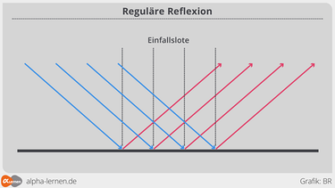 Grafik: Reguläre Reflexion des Lichts | Bild: BR