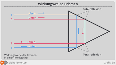 Grafik: Wirkungsweise der Prismen in einem Feldstecher | Bild: BR