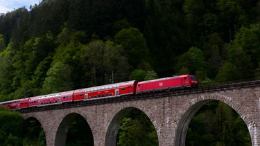 Geo-Tour: Der Schwarzwald | Bild: SWR / planet schule