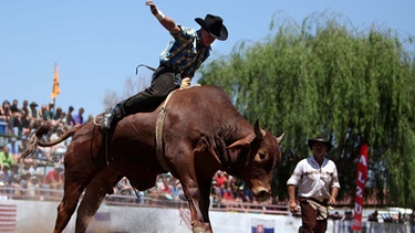 Cowboy beim Bullenreiten | Bild: picture-alliance/dpa