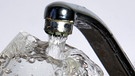 Glas unter geöffnetem Wasserhahn | Bild: picture-alliance/dpa