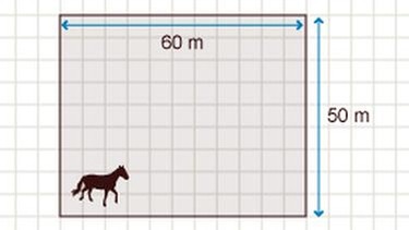 Illustration Mathe 16 | Bild: BR