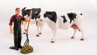 Miniaturfiguren: Ein Bauer mit Mistgabel und zwei Milchkühen bei einem Kuhfladen. | Bild: stock.adobe.com/Tetiana Liubarska