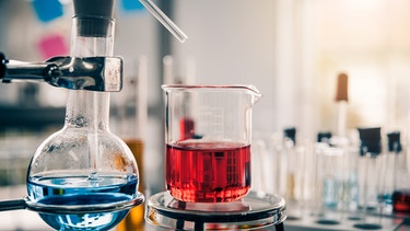 Ein Reagenzglas mit roter Flüssigkeit steht neben einem Birnenkolben mit blauer Flüssigkeit, im Hintergrund weitere Reagenzgläser in einem Labor. | Bild: stock.adobe.com/totojang1977