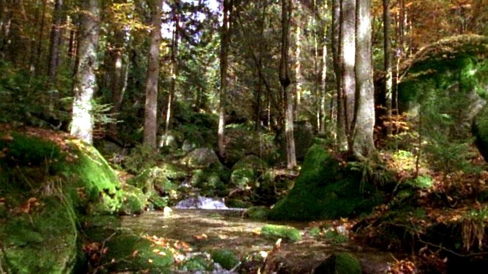 Naturräume in Bayern | Bild: BR