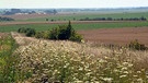 Naturräume in Bayern | Bild: BR