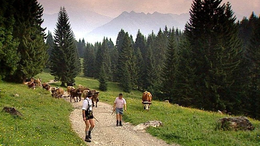 Naturräume in Bayern | Bild: BR