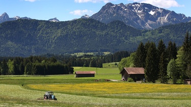 Landwirtschaftsmaschine auf einem Feld in Schwaben vor einem Bergpanorama | Bild: picture-alliance/dpa/ Karl-Josef Hildenbrand 