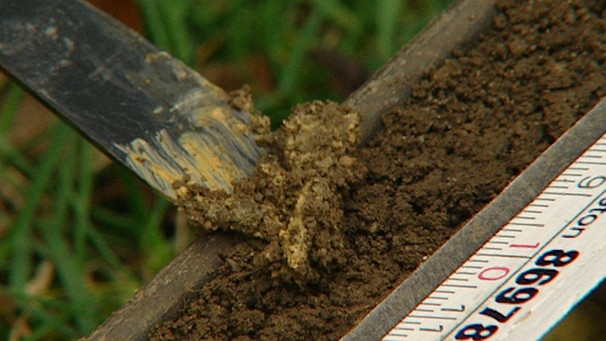 Ein Bodenprofil wird auf Humus und Feuchtigkeit untersucht | Bild: BR