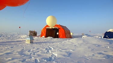 Polarforschung in der Arktis, Potsdamer Wissenschaftler | Bild: picture-alliance/dpa