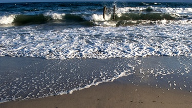 Symbolbild: Wellen an einem Ostseestrand | Bild: picture-alliance/dpa