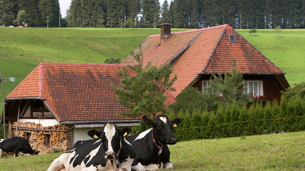 Fallers Serien-Hof im Schwarzwald | Bild: SWR/ Peter A. Schmidt