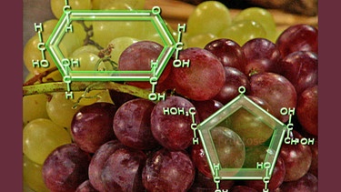 Weintrauben: Ihr Zucker ist ein Monosaccharid | Bild: BR