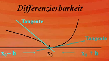 Differenzierbarkeit | Bild: BR