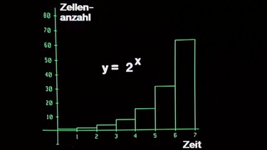 Säulendiagramm | Bild: BR