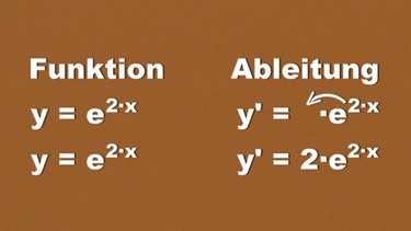 Ableitung einer e-Funktion | Bild: BR