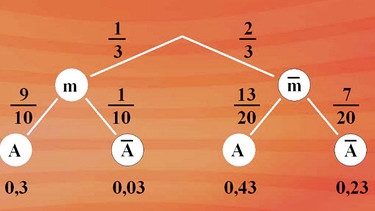 Wahrscheinlichkeitsrechnung | Bild: BR
