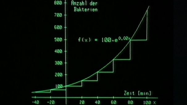 Zuwachs an Bakterien | Bild: BR