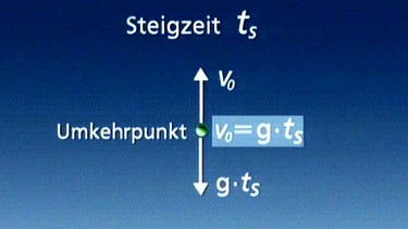 Wurf nach oben | Bild: BR