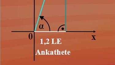 Die konkrete und die allgemeine Beziehung der Winkel und Seiten im rechtwinkligen Dreieck. | Bild: BR