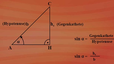 Gegenkathete (hc) durch Hypotenuse (b) ist der Sinus des betrachteten Winkels. | Bild: BR