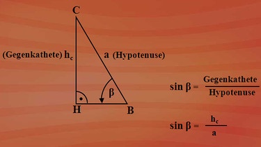 Gegenkathete durch Hypotenuse ist der Sinus des betrachteten Winkels. | Bild: BR