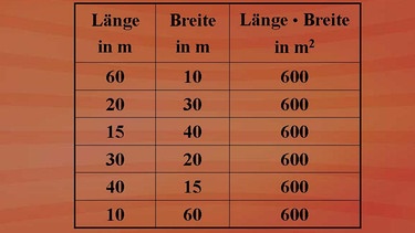 Umgekehrte Proportionalität | Bild: BR