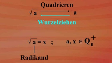 Mit Wurzeln rechnen  | Bild: BR