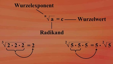 Mit Wurzeln rechnen  | Bild: BR