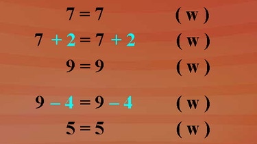 Grundkurs Mathematik: Äquivalenz von Gleichungen | Bild: BR