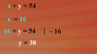 Grundkurs Mathematik: Gleichung mit zwei Unbekannten | Bild: BR