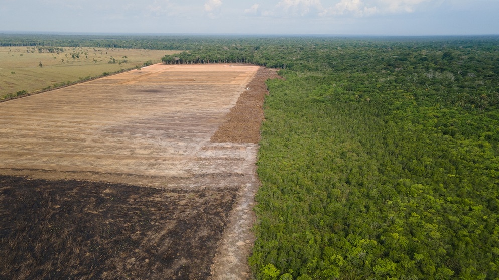 Das Luftbild zeigt eine verbrannte und abgeholzte Fläche in einem Amazonas-Gebiet. Entgegen den Versprechen von Brasiliens international unter Druck geratener Regierung zur UN-Klimakonferenz COP26 bleibt die Abholzung im brasilianischen Amazonasgebiet auf Rekordniveau. | Bild: dpa-Bildfunk/Fernando Souza