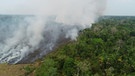 Die Regenwälder im Amazonas-Gebiet sind zunehmend bedroht von Abholzung, Brandrodung und sich ausdehnden Waldbränden durch Trockenheit. Eine Studie zeigt, dass die Amazonas-Regenwälder drauf und dran sind, mehr Kohlendioxid auszustoßen als aufzunehmen.  | Bild: BR/SWR