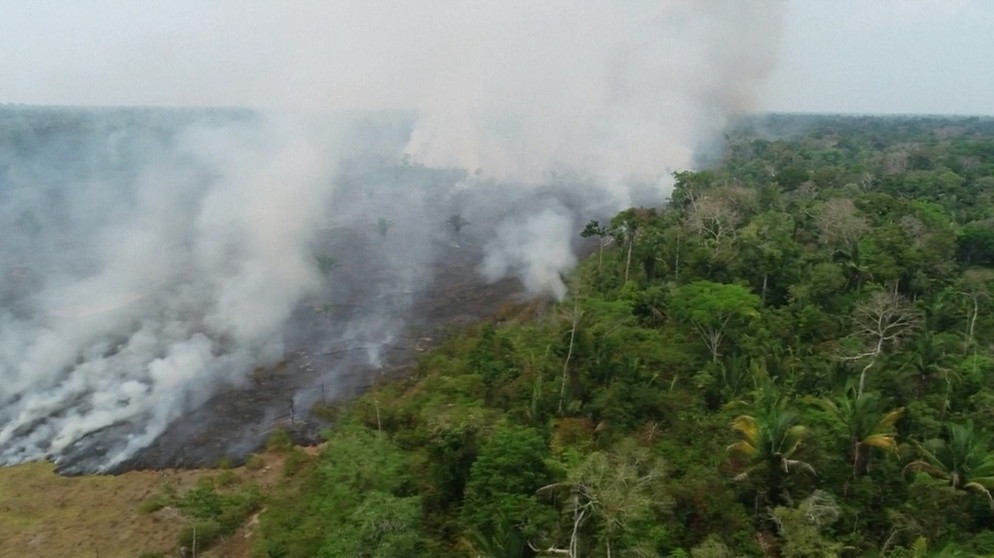 Die Regenwälder im Amazonas-Gebiet sind zunehmend bedroht von Abholzung, Brandrodung und sich ausdehnden Waldbränden durch Trockenheit. Eine Studie zeigt, dass die Amazonas-Regenwälder drauf und dran sind, mehr Kohlendioxid auszustoßen als aufzunehmen.  | Bild: BR/SWR