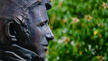 Eine Büste von Alexander von Humboldt ist vor dem Schloss Goldkronach zu sehen. In den Jahren 1792-1797 wirkte der bekannte Naturforscher Alexander von Humboldt im heutigen Oberfranken. | Bild: picture alliance/dpa | Nicolas Armer