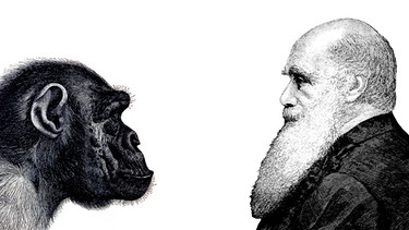 Zeichnung, auf der einen Seite Charles Darwin auf der anderen ein Affe. Darwin beschrieb die Evolution, formulierte die Evolutionstheorie und erklärte, wie sich der Mensch entwickelt hat: Dass Mensch und Affe gemeinsame Vorfahren haben. | Bild: picture-alliance/dpa/imageBROKER/bilwissedition