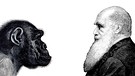 Zeichnung, auf der einen Seite Charles Darwin auf der anderen ein Affe. Darwin beschrieb die Evolution, formulierte die Evolutionstheorie und erklärte, wie sich der Mensch entwickelt hat: Dass Mensch und Affe gemeinsame Vorfahren haben. | Bild: picture-alliance/dpa/imageBROKER/bilwissedition