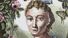 Maria Sibylla Merian - Radierung von Johann Rudolf Schellenberg | Bild: picture alliance / akg-images