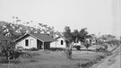 Straße in Fordlandia. Anfangs kann sich nur eine gutbetuchte Minderheit das Vergnügen leisten, mit einem Automobil über die Straßen zu rollen. Henry Ford ändert das 1908: Mit dem Fließband verwandelt er das Auto in ein Massenprodukt für jedermann. | Bild: Collections of Henry Ford, Macmillan