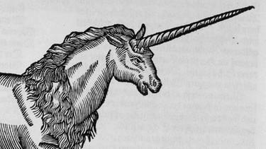 Holzschnitt eines Einhorns aus dem Jahr 1669. Lange wurden Märchen nur mündlich überliefert. Die Brüder Grimm fingen an, sie zu sammeln und aufzuschreiben. Wie entstanden ihre Märchen und was macht die Geschichten so besonders? | Bild: picture-alliance/dpa