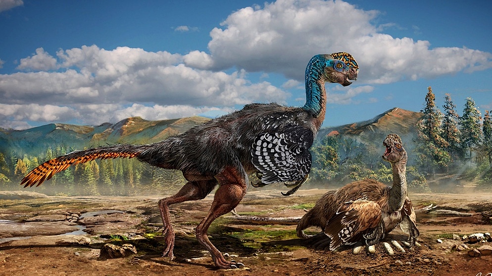 Vogelechse Huanansaurus ganzhouensis | Bild: Chuang Zhao/npg/dpa