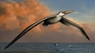 Fliegender Pelagornis sandersi | Bild: Liz Bradford/dpa